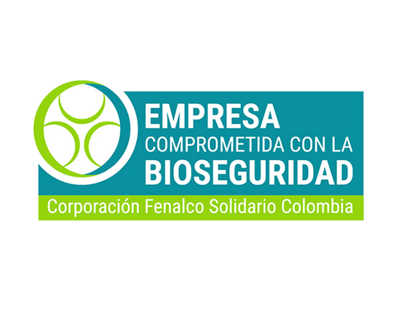 logo-5